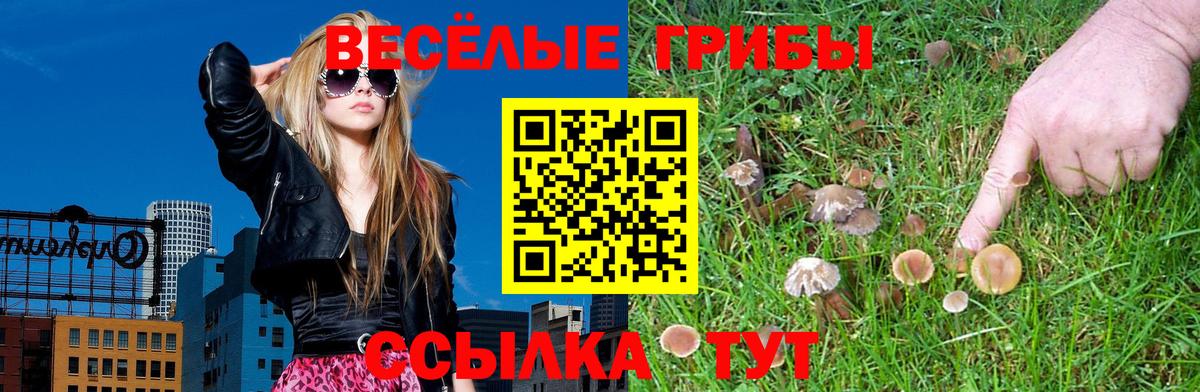 Псилоцибиновые грибы Cubensis  Вход с VPN  Псилоцибиновые грибы MAGIC MUSHROOMS  Сибай 